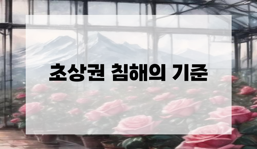 초상권 침해의 기준
