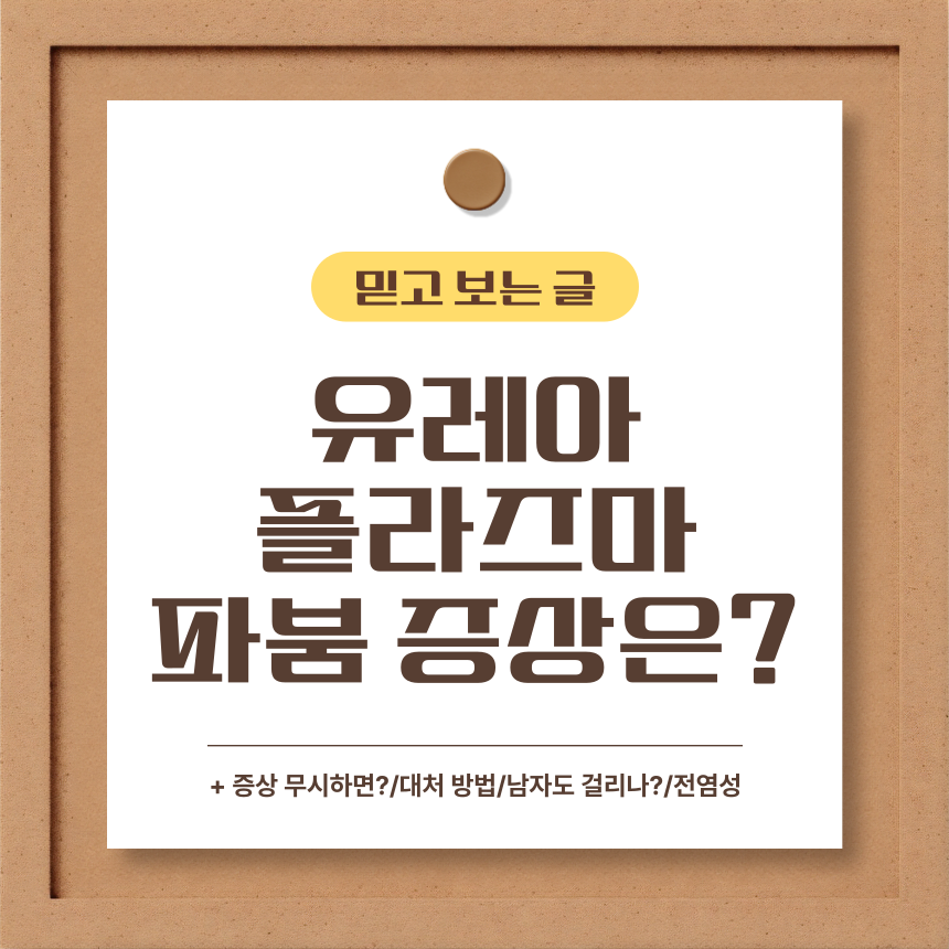  유레아플라즈마 파붐 증상은?