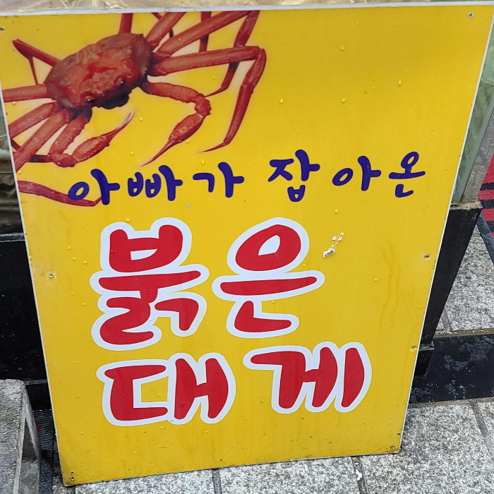  속초여행 아빠가 잡아온 붉은대게 속초중앙시장 대게가 대게맛있다.