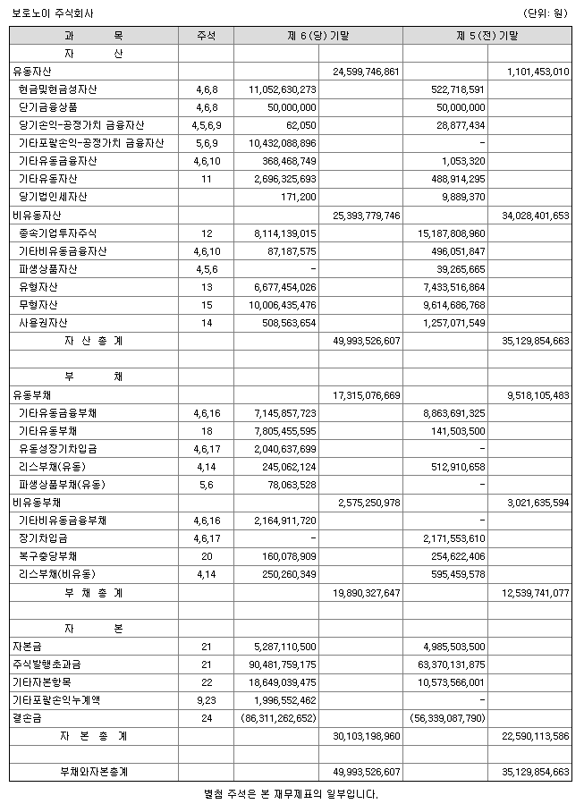 보로노이 재무제표