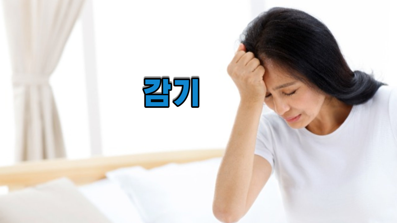  감기