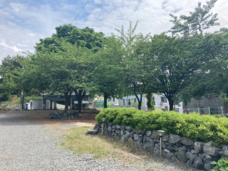 리꼬 이미지