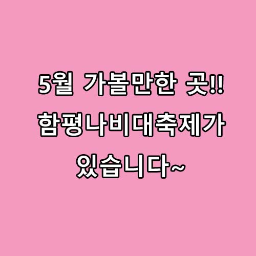  5월 가볼만한 곳 : 전남 함평나비축제 개막