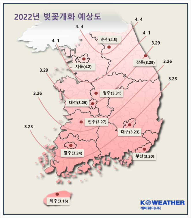 케이웨더 2022 벚꽃 개화시기