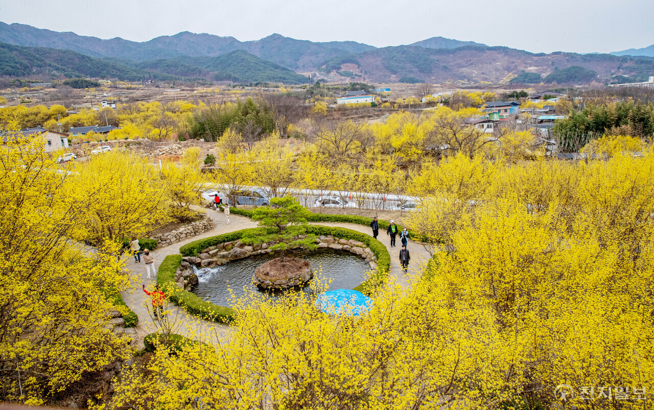 전남 구례 산수유 마을