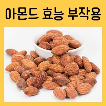 아몬드 효능 하루 섭취량 칼로리_13