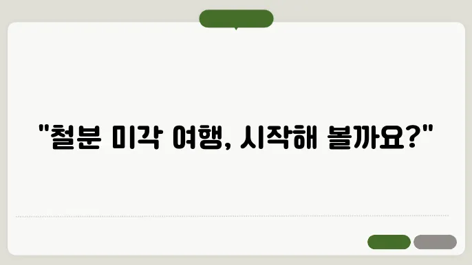 철분 가득한 요리의 예시