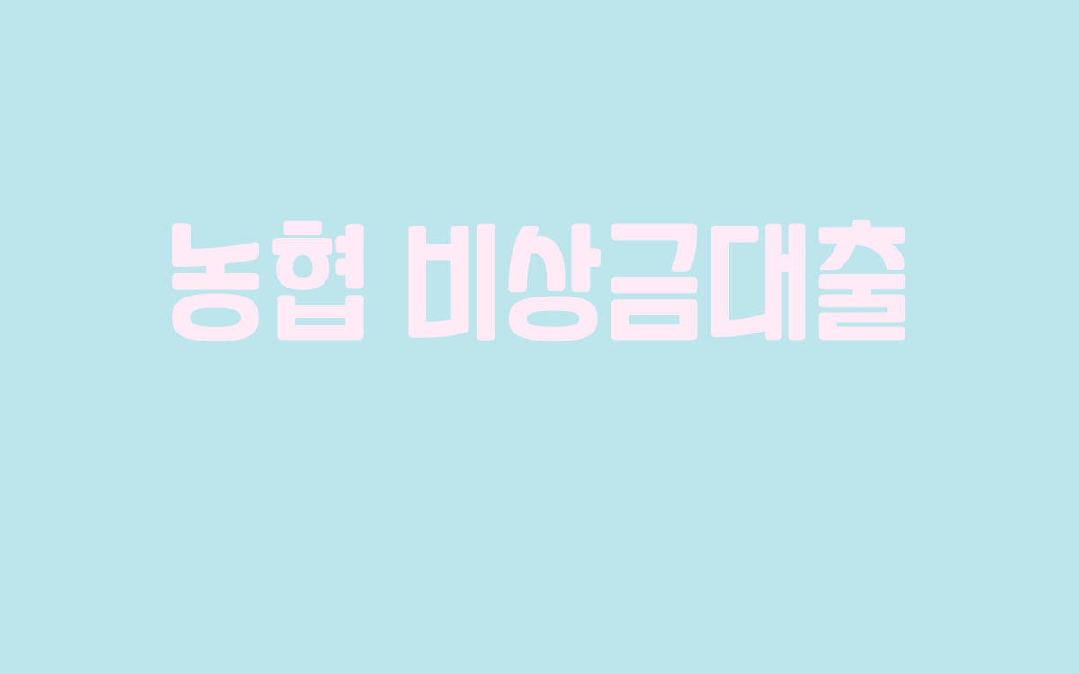  농협 비상금대출