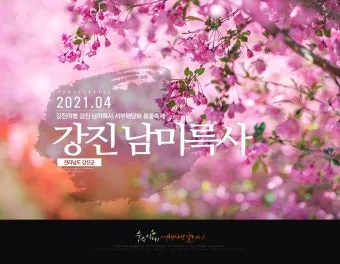 강진 수국길축제 일정 초대가수 강진 여행 2025 완벽 가이드_18
