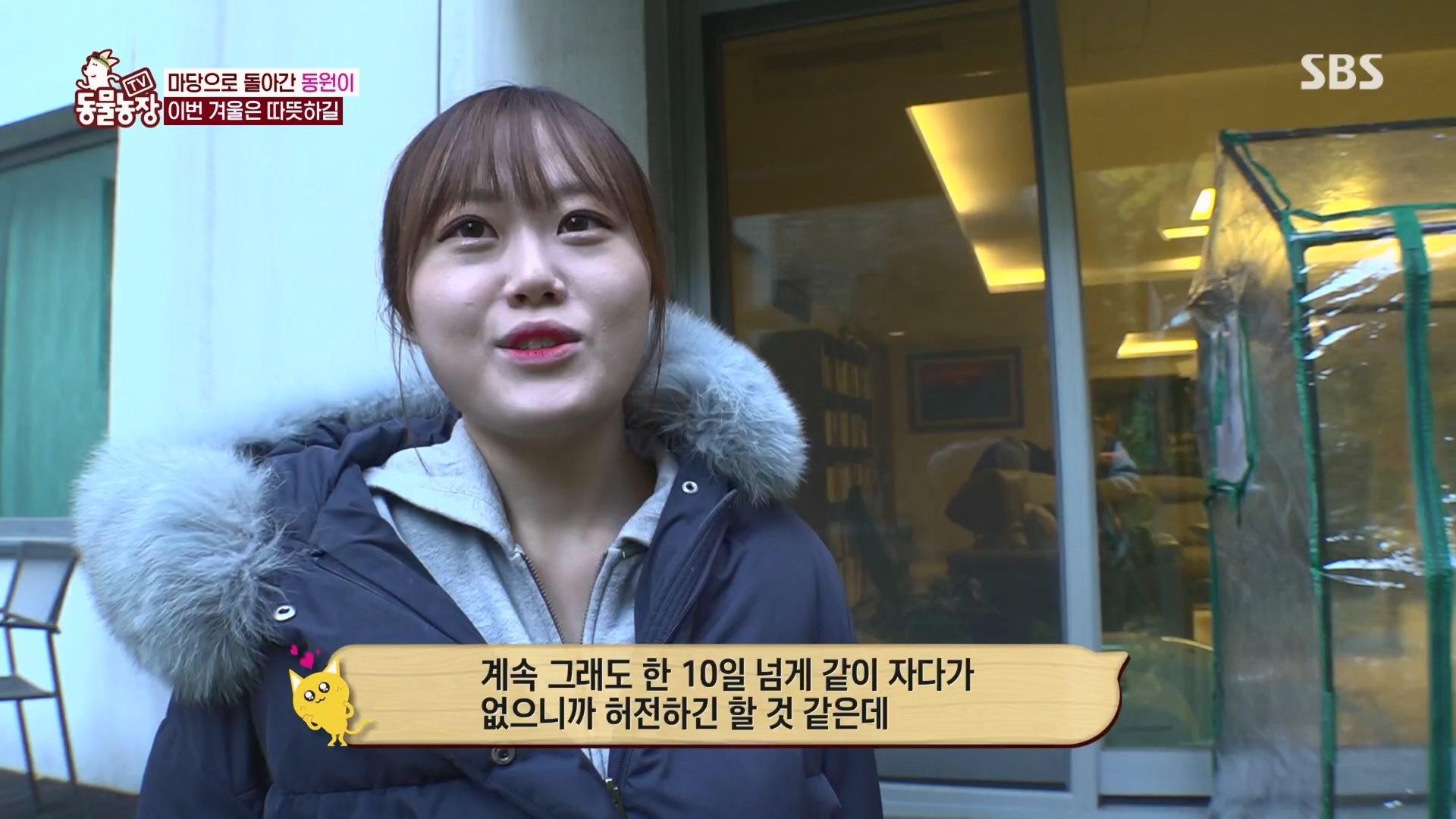TV 동물농장.E1148.231203p.H264-F1RST.mp4_20231203_181440.064.jpg