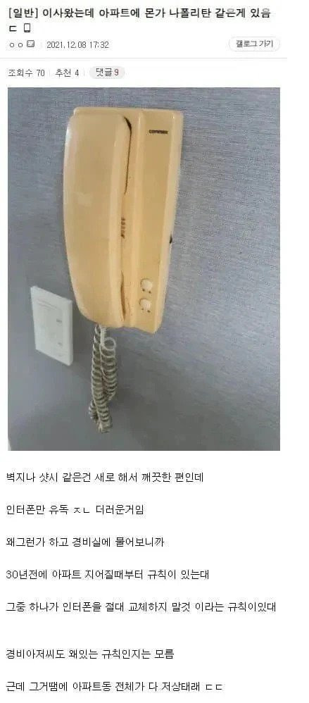이사 온 아파트의 이상한 규칙