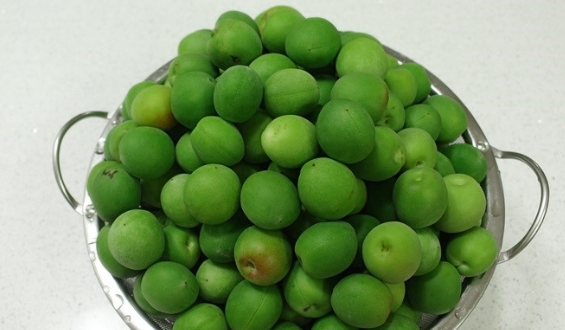  "매실청 담그는 방법과 효능": 달콤한 맛과 건강한 재료의 만남