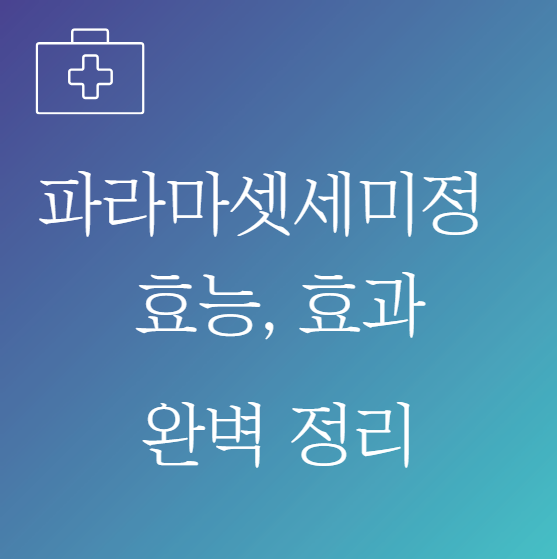 파라마셋세미정