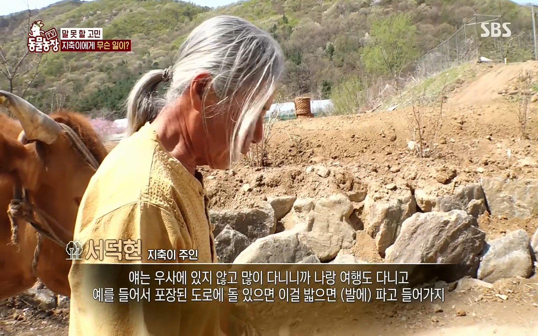 TV 동물농장.E1074.220619p.H264-F1RST.mp4_20220619_181559.307.jpg