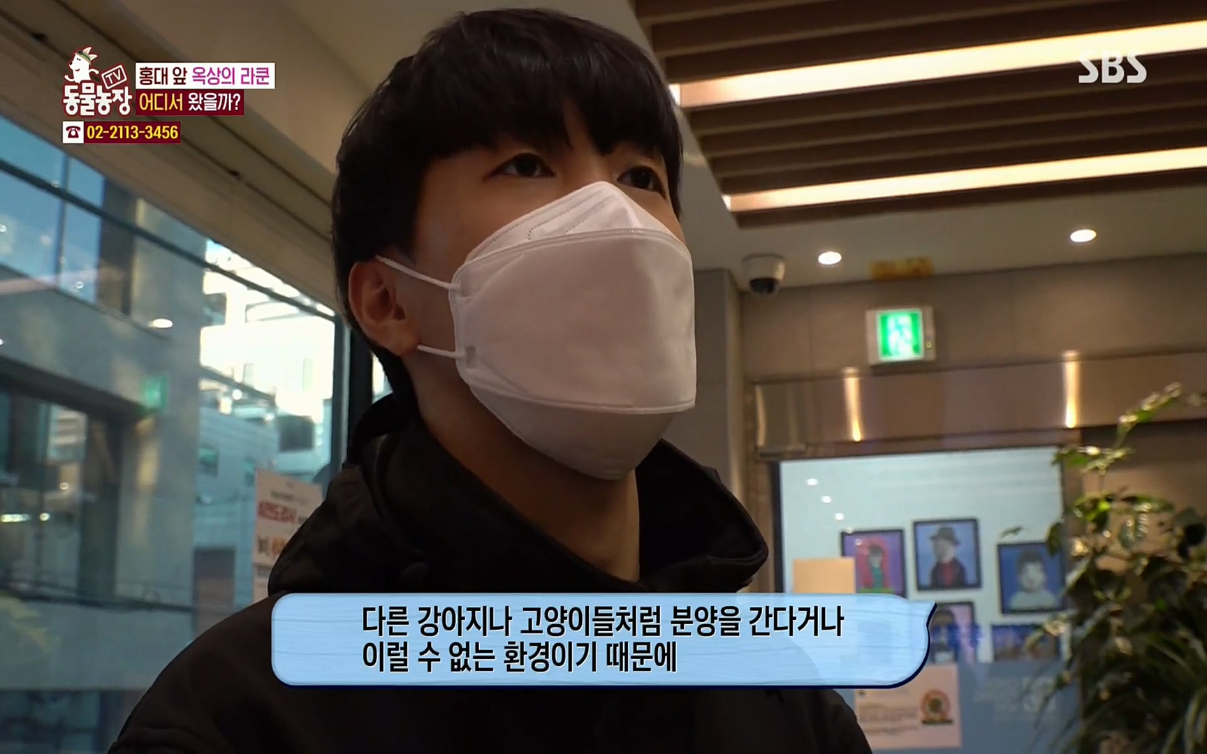 TV 동물농장.E1066.220424p.H264-F1RST.mp4_20220424_200422.228.jpg