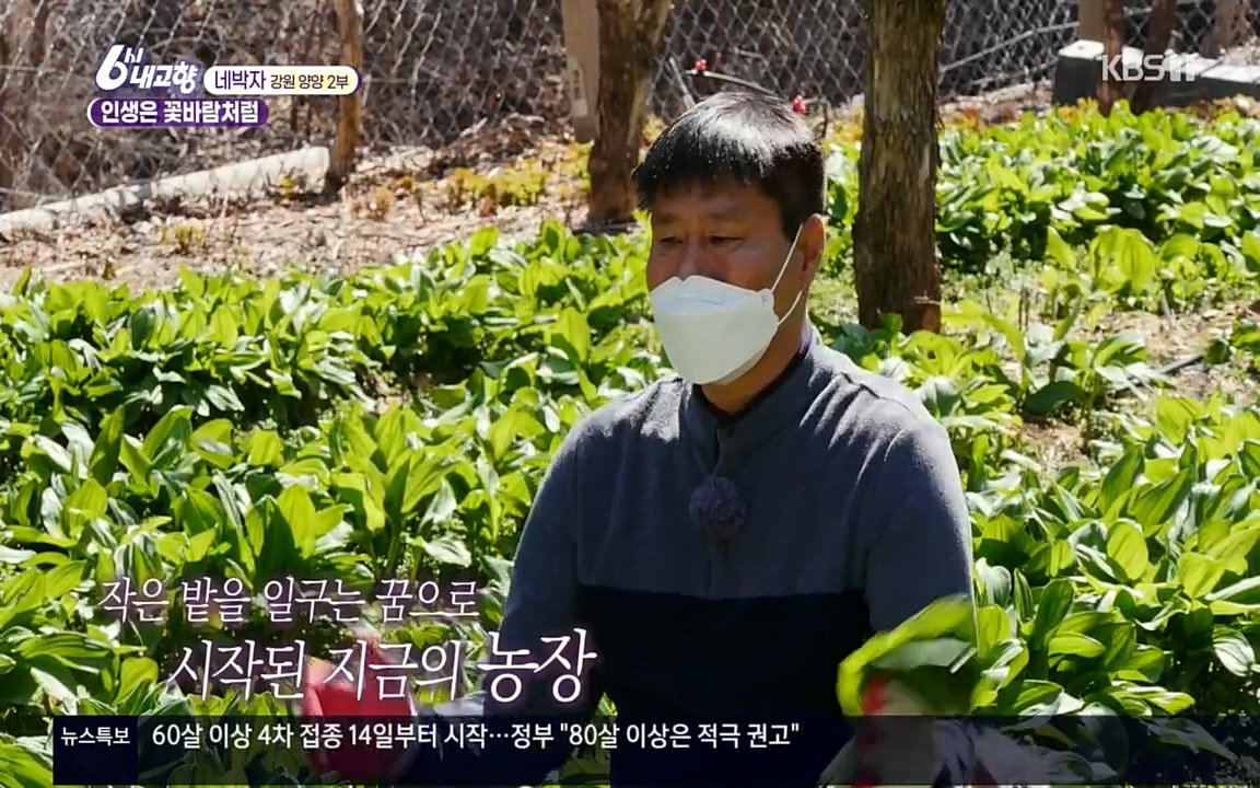 6시 내고향.E7510.220414p.H264-F1RST.mp4_20220419_184428.160.jpg