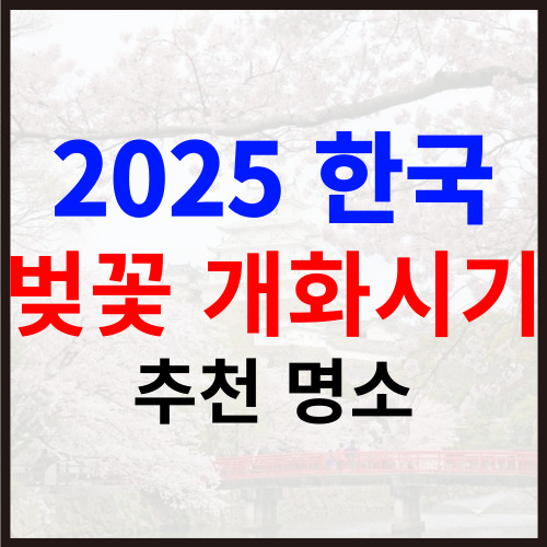 2025년 한국 벚꽃 개화 시기 &amp; 추천 명소