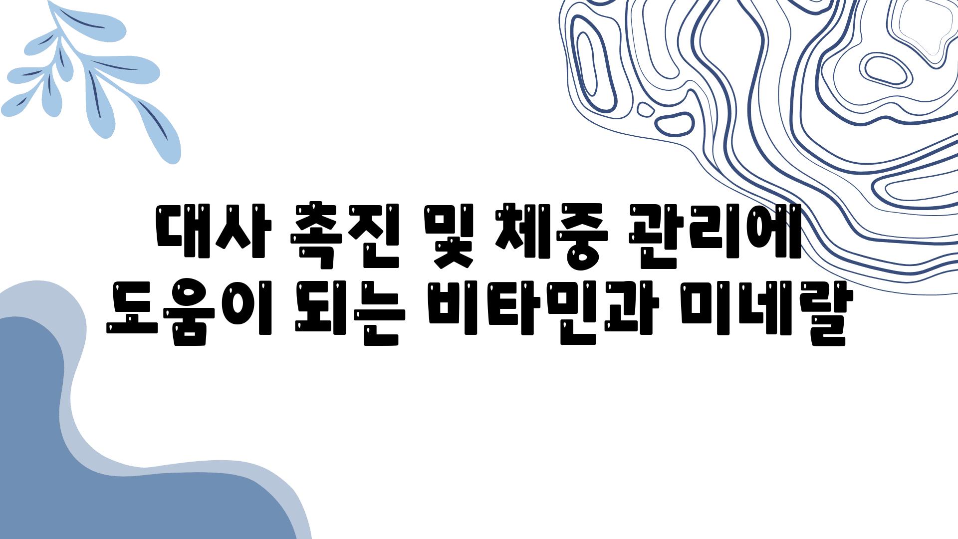 대사 촉진 및 체중 관리에 도움이 되는 비타민과 미네랄