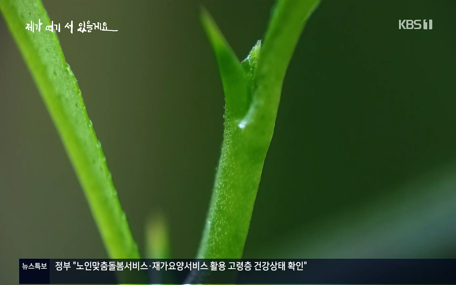 다큐 인사이트.E124.220908p.H264-F1RST.mp4_20220912_143730.481.jpg