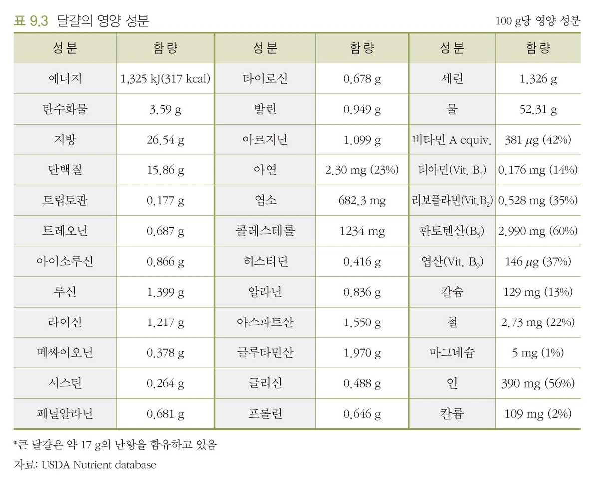  제목 : 달걀의 힘(단백질이 담긴 슈퍼푸드)