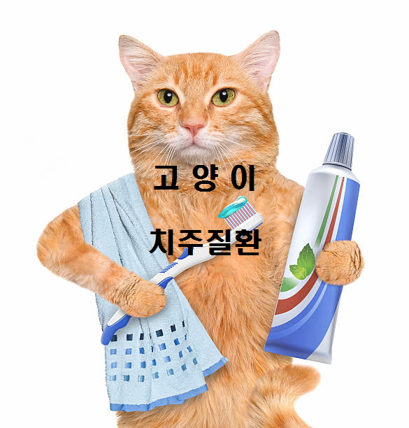  노다지네 잡학다식