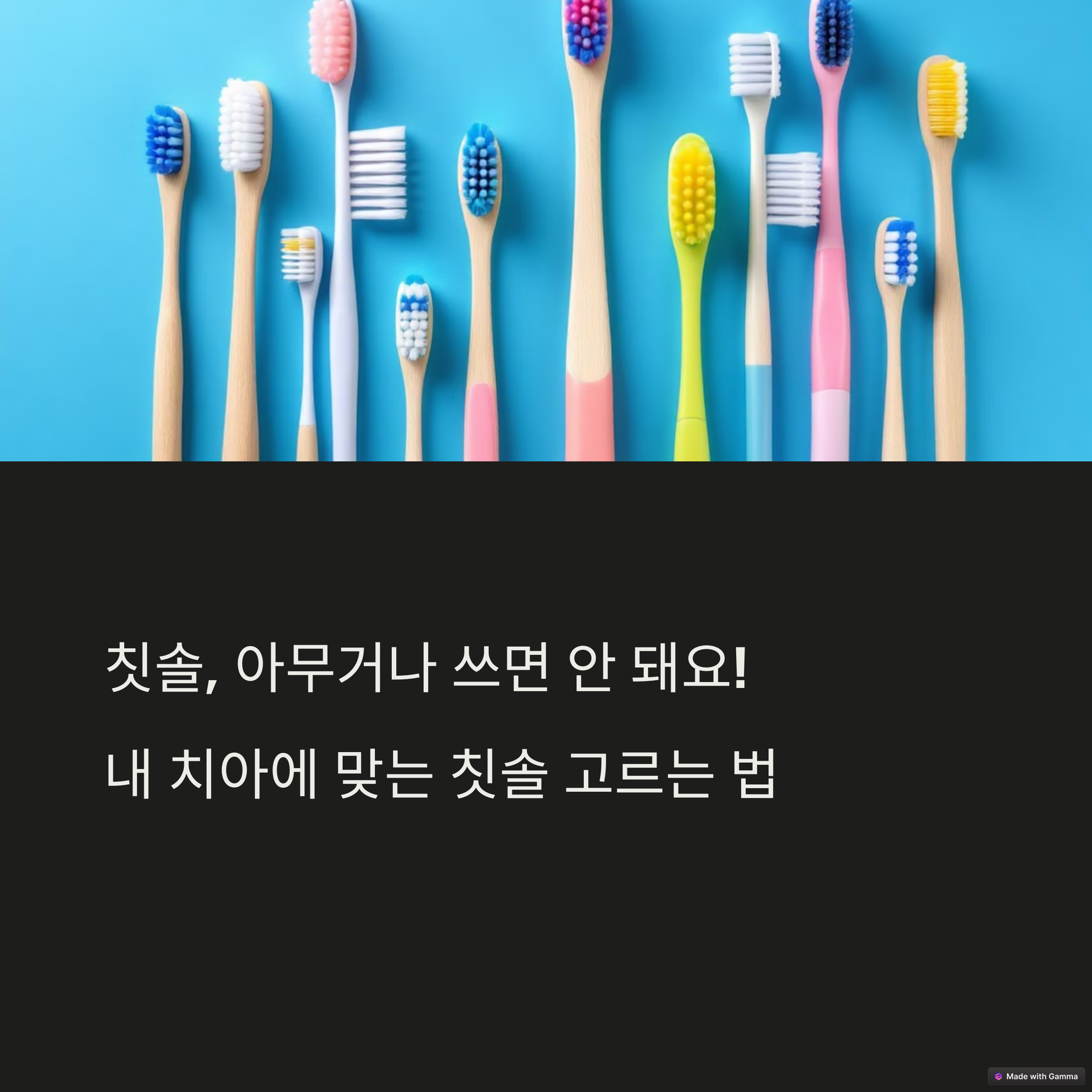 다양한 칫솔모들의 칫솔