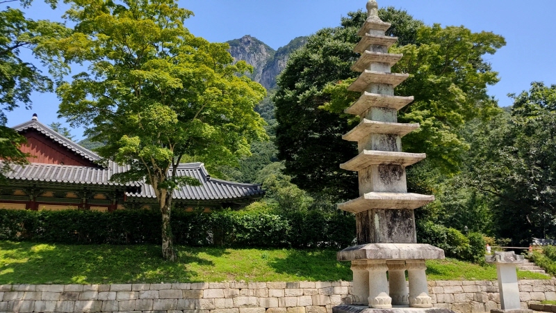  가인야영장 카라반에서 자고, 내장산 백양사 다녀왔어요~