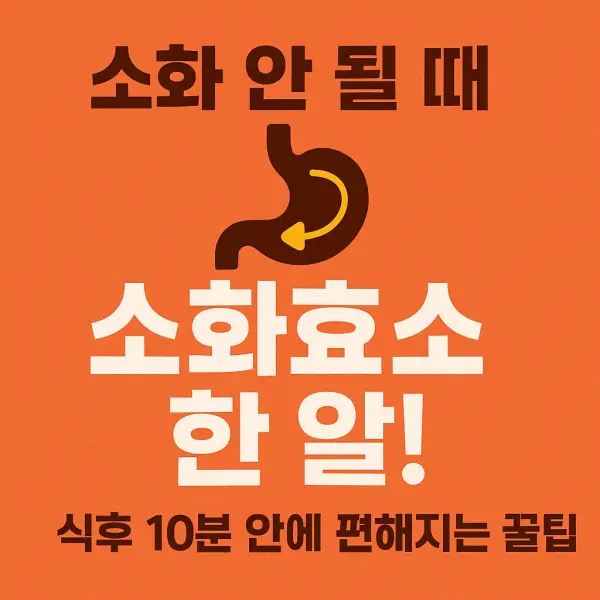 소화효소