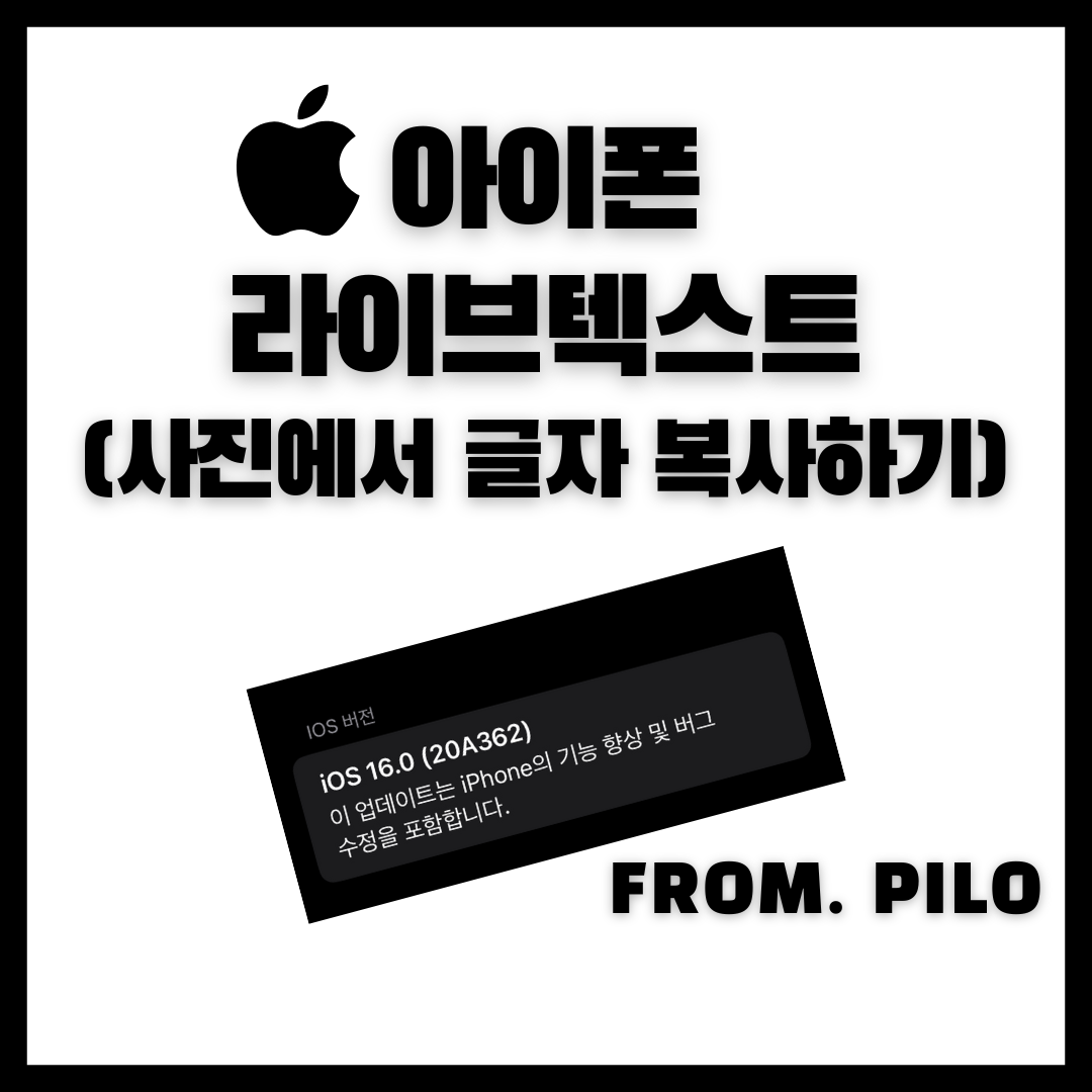  아이폰 라이브텍스트 - 이미지에서 글자 추출하기