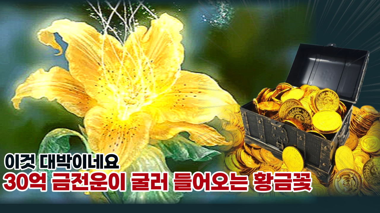  '지금 당장 바꾸세요' 이렇게만 바꾸면 30억 금전운과 행복이 굴러 들어온다는 황금꽃