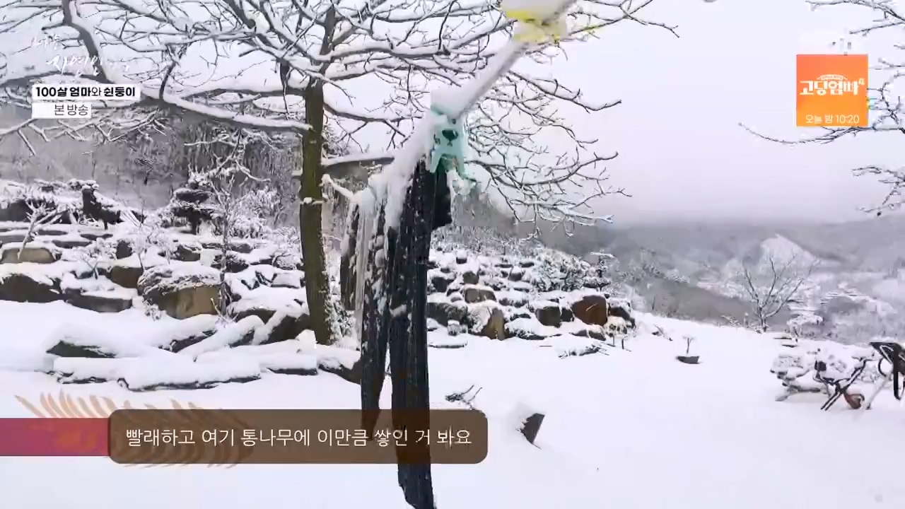 나는 자연인이다.E597.240314p-NEXT.mp4_20240314_195528.989.jpg