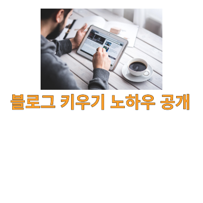  블로그 키우기 노하우 공개