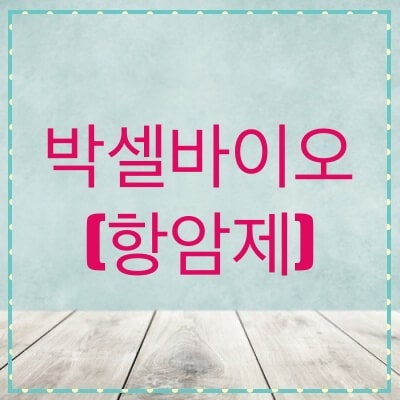  박셀바이오 주가, 전망 (323990)