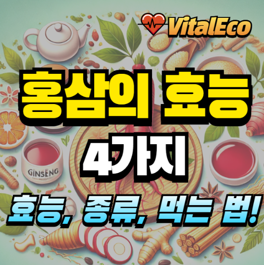 홍삼의 효능