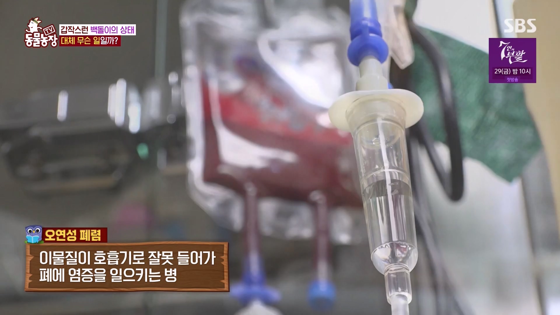 TV 동물농장.E1164.240324p-NEXT.mp4_20240324_172348.249.jpg