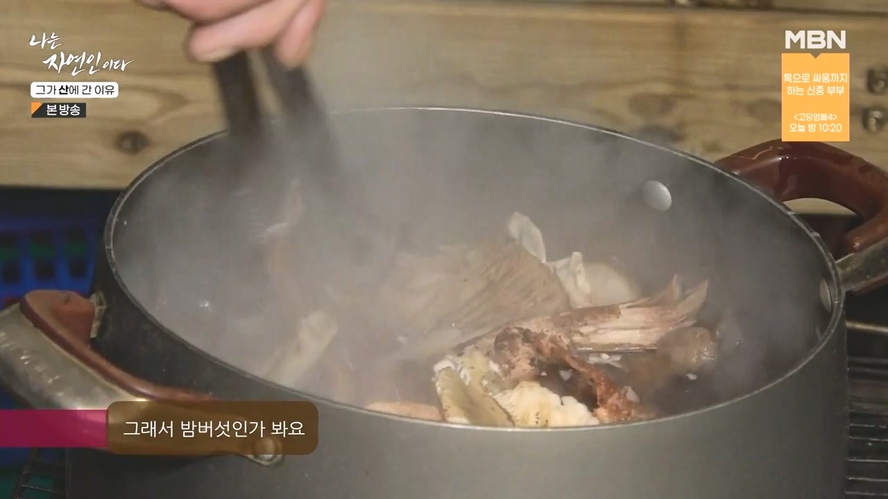 나는 자연인이다.E575.231012p-NEXT.mp4_20231012_201004.909.jpg