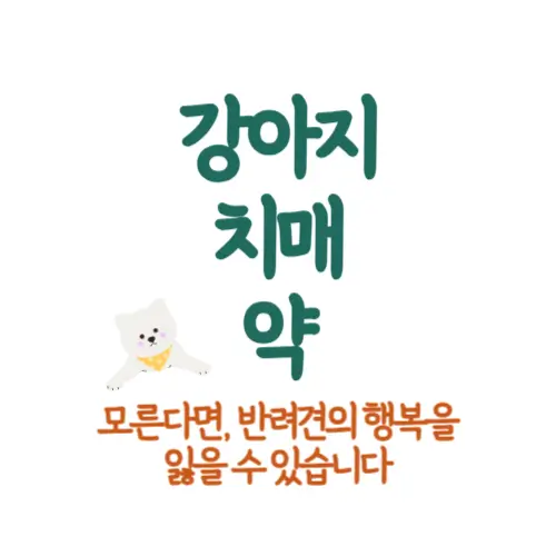 강아지 치매 약 썸네일