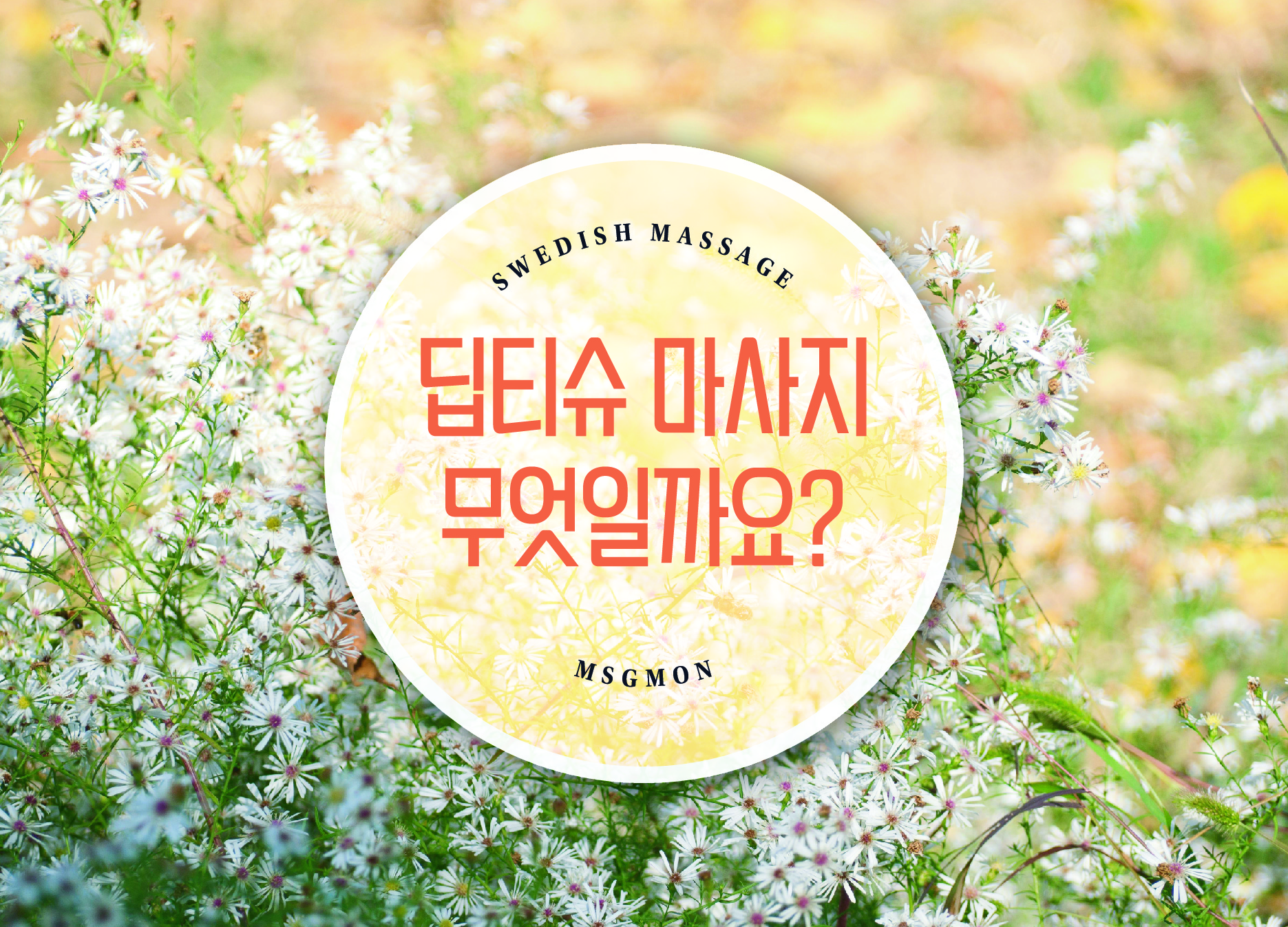 딥티슈 마사지란