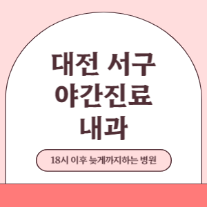 대전 서구 야간진료 늦게까지 하는 내과 병원 (18시 이후 늦게까지하는 병원)