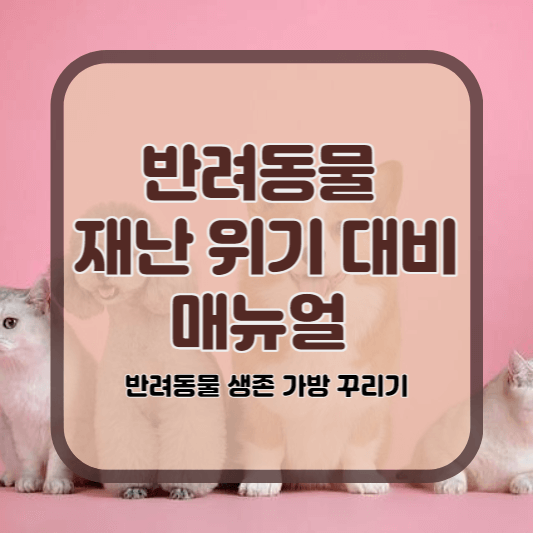 반려동물 재난 위기 대비 매뉴얼 반려동물 생존 키트
