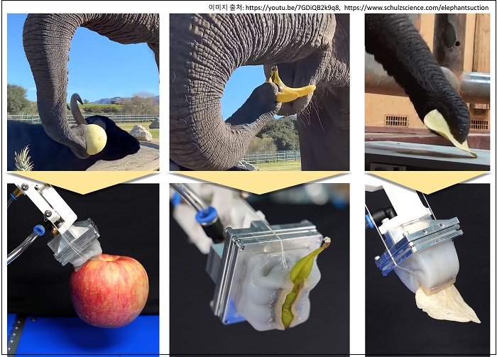 &quot;세계 최초 미세 바늘까지 잡을 수 있는 코끼리 코 로봇 손 개발&quot; 한국기계연구원