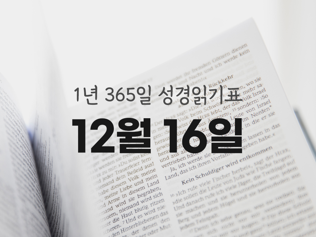 1년 365일 성경읽기표 12월 16일 티토서 성경읽기 진도표 다운로드