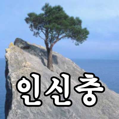 인신충 썸네일