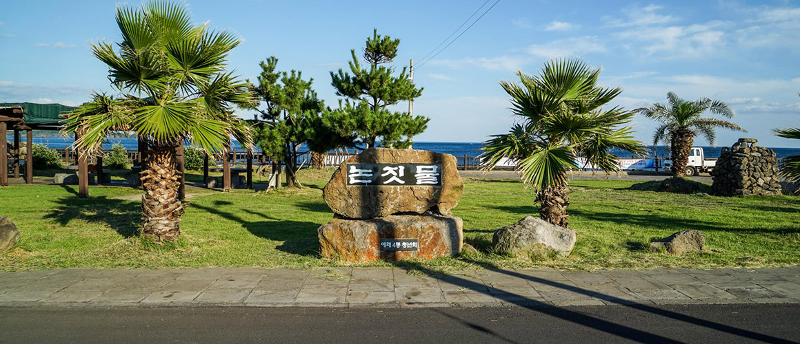 Discovering Jeju&#39;s Beauty
