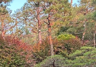 화담숲-2