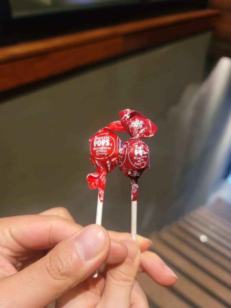 전주 피자 맛집 전주 객사 맛집::가마GAMA 피자 20