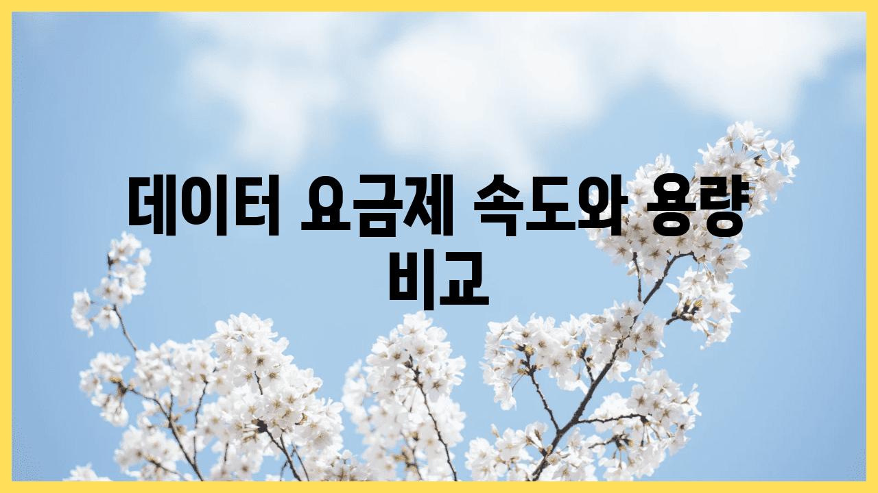 데이터 요금제 속도와 용량 비교