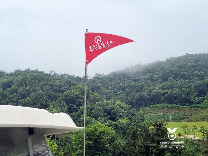 연예인 골프 순위 연예인들이 참여하는 8