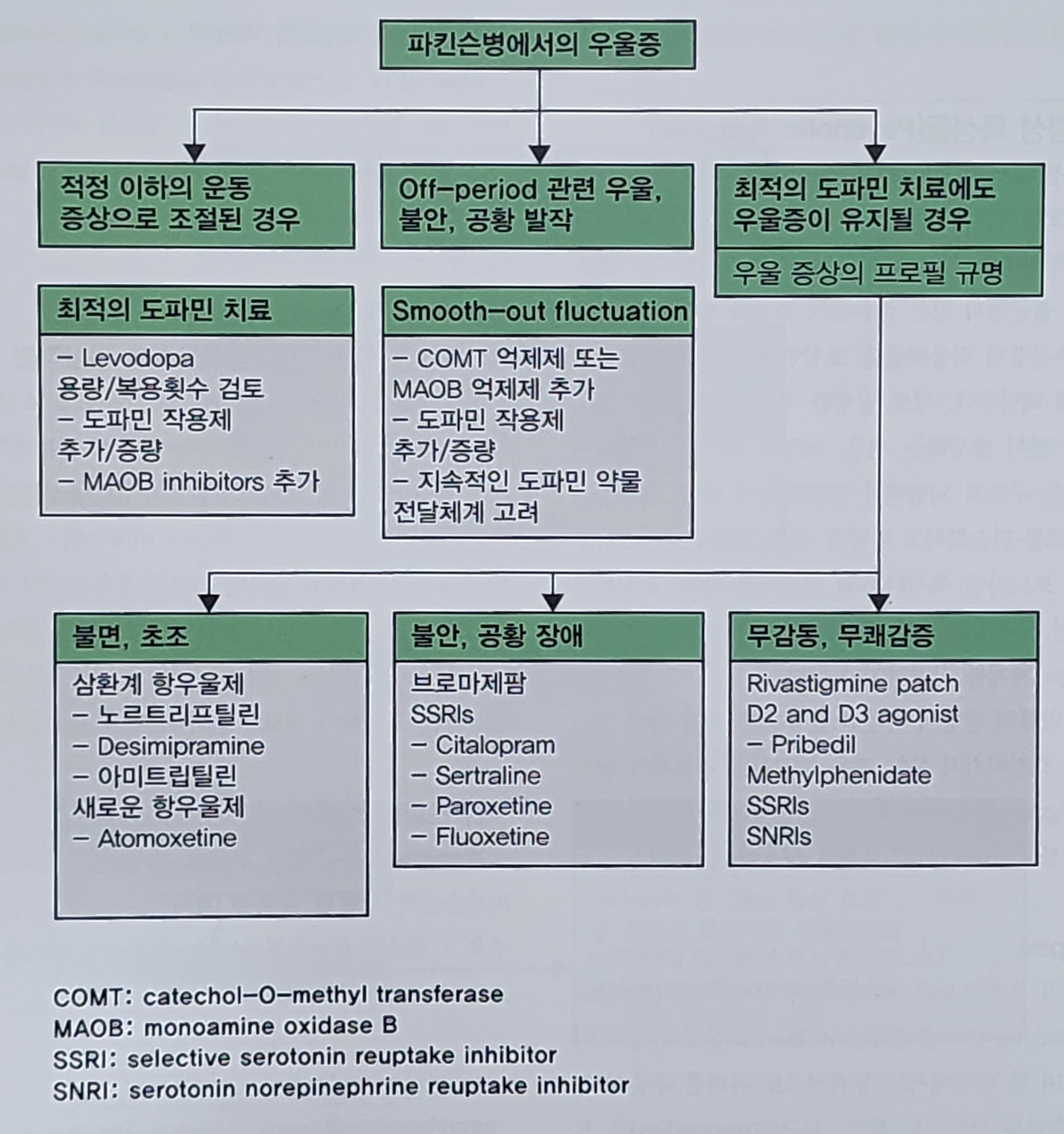 파킨슨병의 내과적 치료2