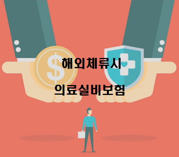  노다지네 잡학다식